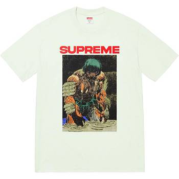 Tričko Supreme Ronin Tee Mátově Zelená | CZ353EX